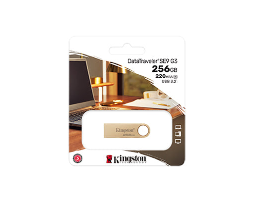 KINGSTON Clé USB DTSE9 G3 256Go
